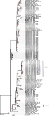 Fig. 3