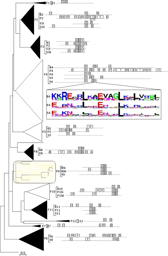 FIG. 2.