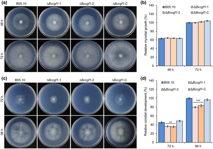 FIGURE 3