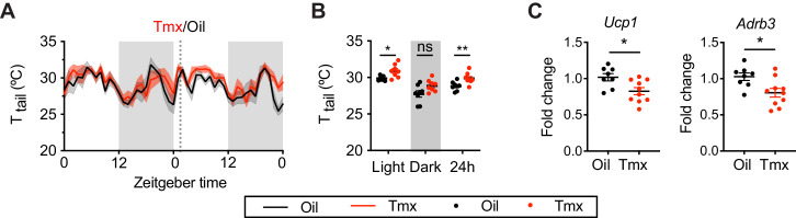 Figure 1—figure supplement 1.