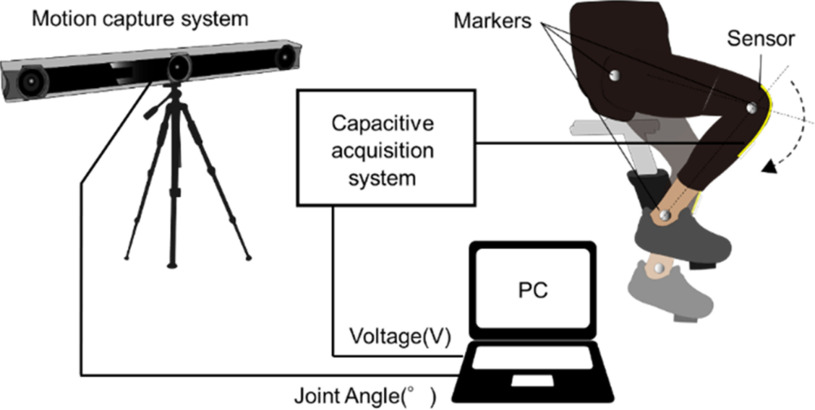 Fig. 7.