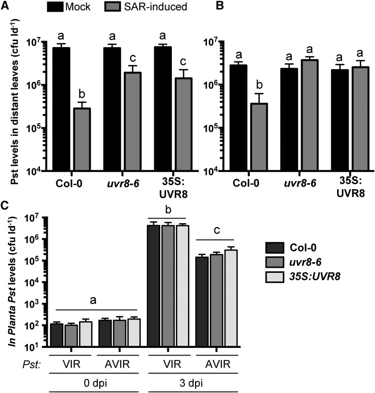 Figure 6.