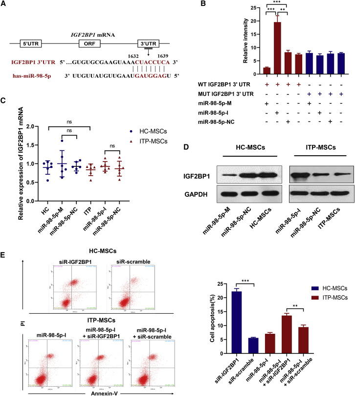 Figure 2