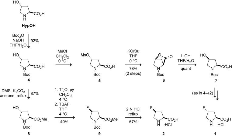 Scheme 1