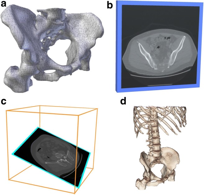 Fig. 6