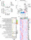 Figure 5. Transcriptional profiles of NK cells expanded under different conditions. A, PCA of the expression profiles from the bulk RNA-seq of 4 donors’ samples for seven groups (top) and K-IL15 and K-IL21 groups (bottom). B, Volcano plot for the differentially expressed genes (Padj > 0.05; log2 fold change >2) in samples from all four donors in the K-IL15 versus K-IL21 group. C, Bubble plot of the selected gene sets enriched in K-IL15–expanded NK cells versus K-IL21–expanded NK cells. NES, normalized enrichment score. D, Heat map of normalized expression of both upregulated and downregulated genes differentially expressed from bulk RNA-seq. Each column represents one donor.
