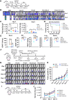Figure 6. In vivo antitumor efficacy of NK cells expanded from different conditions in various mouse tumor models. Schematic diagram of the timeline (A), tumor bioluminescence images (B), quantification (C), mouse survival curves (D), and blood and tissue NK cells (E) of the mouse Burkitt lymphoma model. NSG mice were intravenously (i.v.) injected with Raji-CBG cells (1e5/mouse) followed by intravenous injection with frozen expanded NK cells (15e6 cells/mouse) 2 days later (8 mice/group). Blood and tissue NK cells were measured on day 4 after NK cell injection in another experiment. **, P < 0.01; and ***, P < 0.001 by one-way ANOVA with t test. *, P < 0.05 by survival analysis (Kaplan–Meier). Schematic diagram of the timeline (F), tumor bioluminescence images (G), and the summarized tumor growth (H) of the mouse multiple myeloma model. NSG mice received an intraosseous injection of RPMI8226-CBG (2e6 cells/mouse) following busulfan preconditioning. Expanded NK cells (20e6/mouse) from 3 donors were delivered by intravenous injection weekly for 3 weeks (6 mice/group). Human rIL2 (12,500 IU/mouse) was intraperitoneally delivered to the mice twice per week for both the lymphoma and multiple myeloma models. Schematic diagram of the timeline (I) and tumor flux (J) of the peritoneal carcinomatosis mouse model. NSG mice received intraperitoneal injection with U251-CBG cells (1e6 cells/mouse) and then freshly expanded NK cells (3e6 cells/mouse) were given 5 hours later (10 mice/group, except for 5 mice in the K-IL15-IL21 due to low yield for that expansion). The results are expressed as mean ± SE. **, P < 0.01 versus Medium group; and # P < 0.05 versus K-IL21 group by two-way ANOVA with multiple t tests.