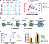 Figure 1. Exposure to K562 expressing mbIL21 gives superior NK yield. A, Surface expression of CD64, 41BBL, CD40, IL15, and IL21 on the K562 feeders (K)-IL15, K-IL21, and K-IL15-IL21. B, Workflow of our NK cell expansion process. On day 10, NK cells were repeatedly stimulated with either the same type of feeders or switched from K-IL15 to K-IL21 and vice versa. C, Dynamic population doubling and cell volume of NK cells after K562 feeder exposure. D, Viability of NK cells on day 10 and day 20 of the expansion was determined by staining with Annexin V-PE and 7-AAD (5–6 donors). E, Expansion fold of NK cells on day 10 and day 20 from 11 donors, except for K-WT from 5 donors. The results are expressed as mean ± SE; *, P < 0.05 and **, P < 0.01 by fitting mixed model with multiple paired t test.