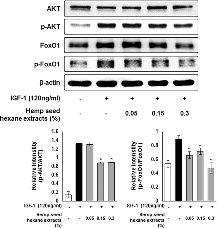 Fig 8