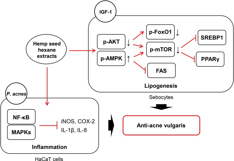 Fig 10