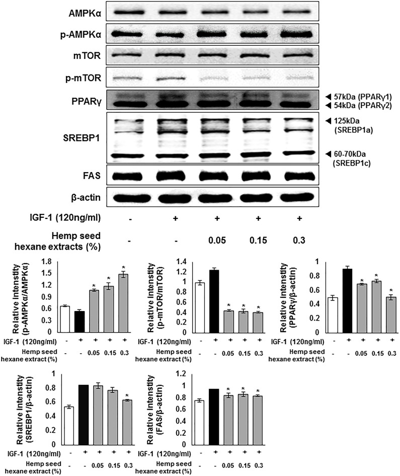 Fig 7