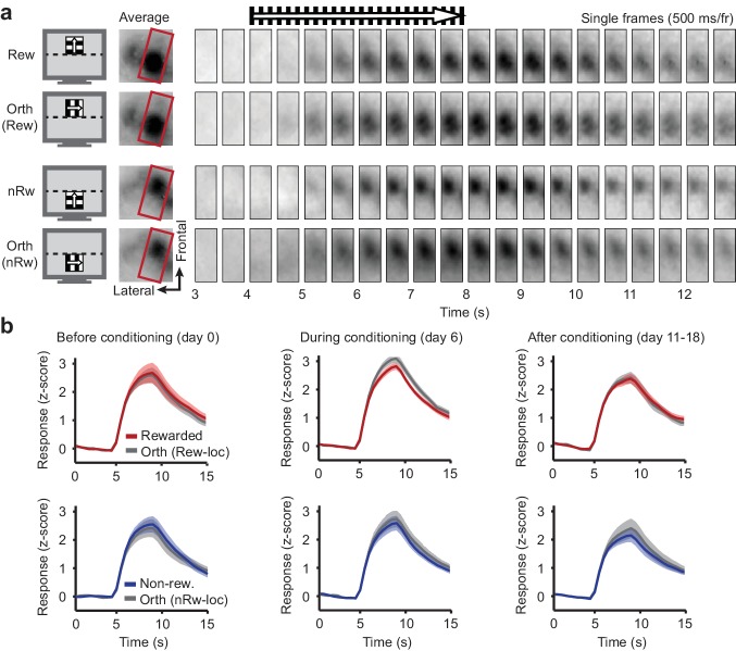 Figure 2—figure supplement 1.