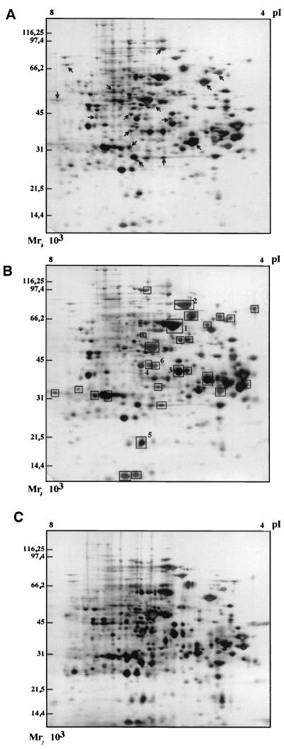 FIG. 3