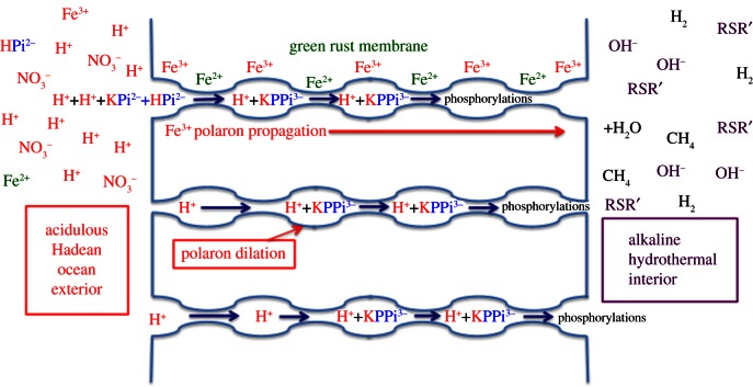 Figure 5.