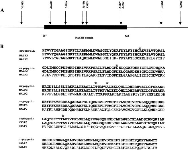 Figure  4