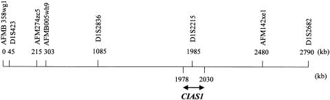 Figure  3