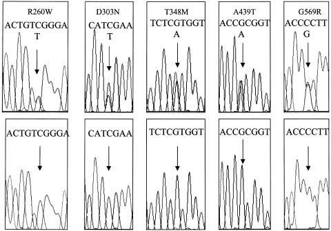 Figure  2