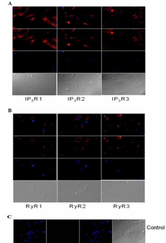 Fig. (4)