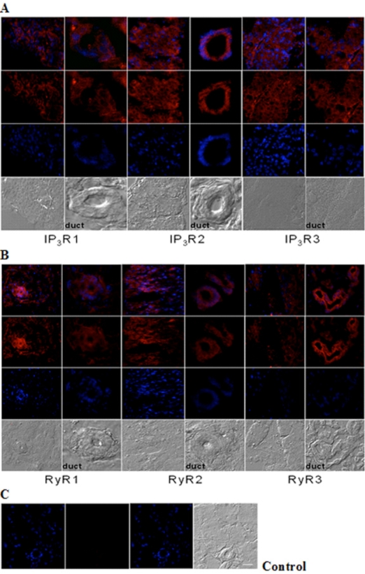 Fig. (2)