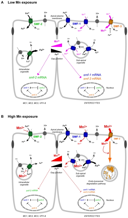 Figure 10