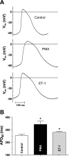 Fig. 9.