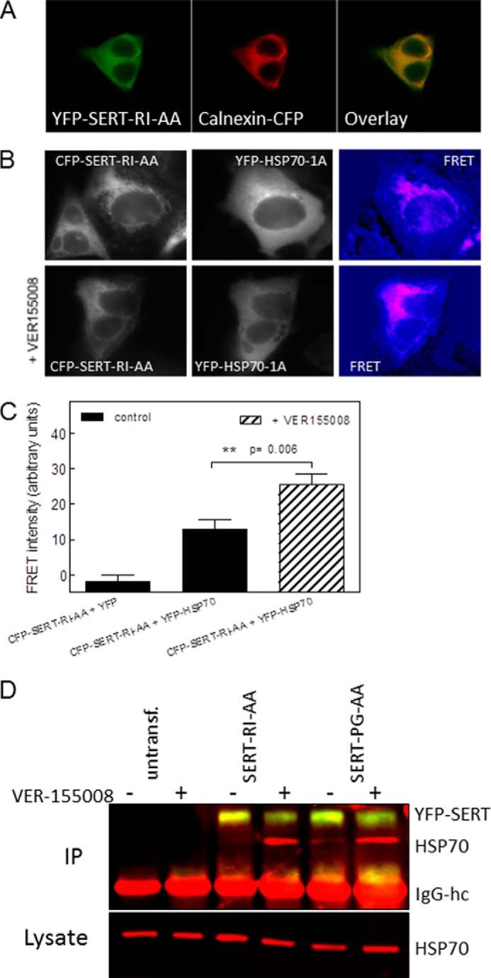 FIGURE 4.