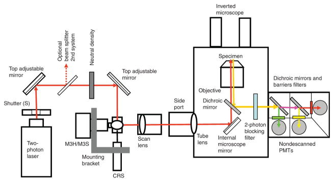 Figure 7