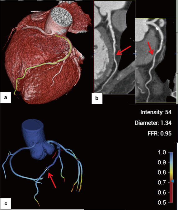 Fig. 5