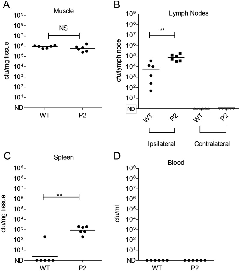 Figure 6.