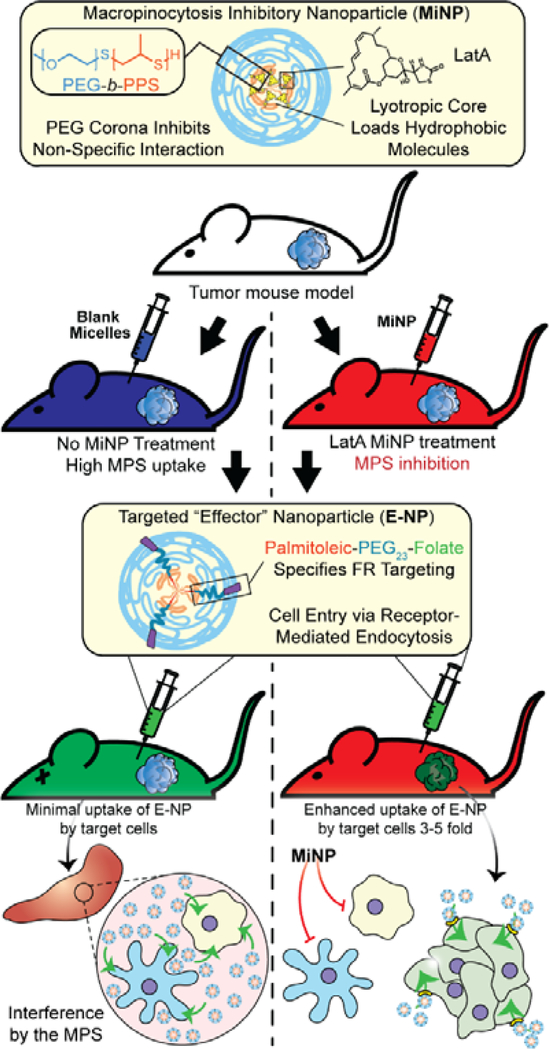 Figure 1: