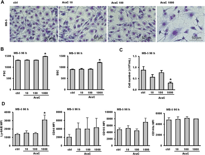 FIGURE 4