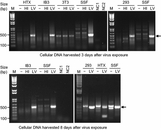 Fig. 3