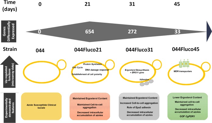 FIG 12