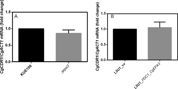 FIG 10