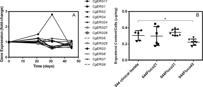 FIG 3