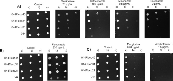 FIG 2