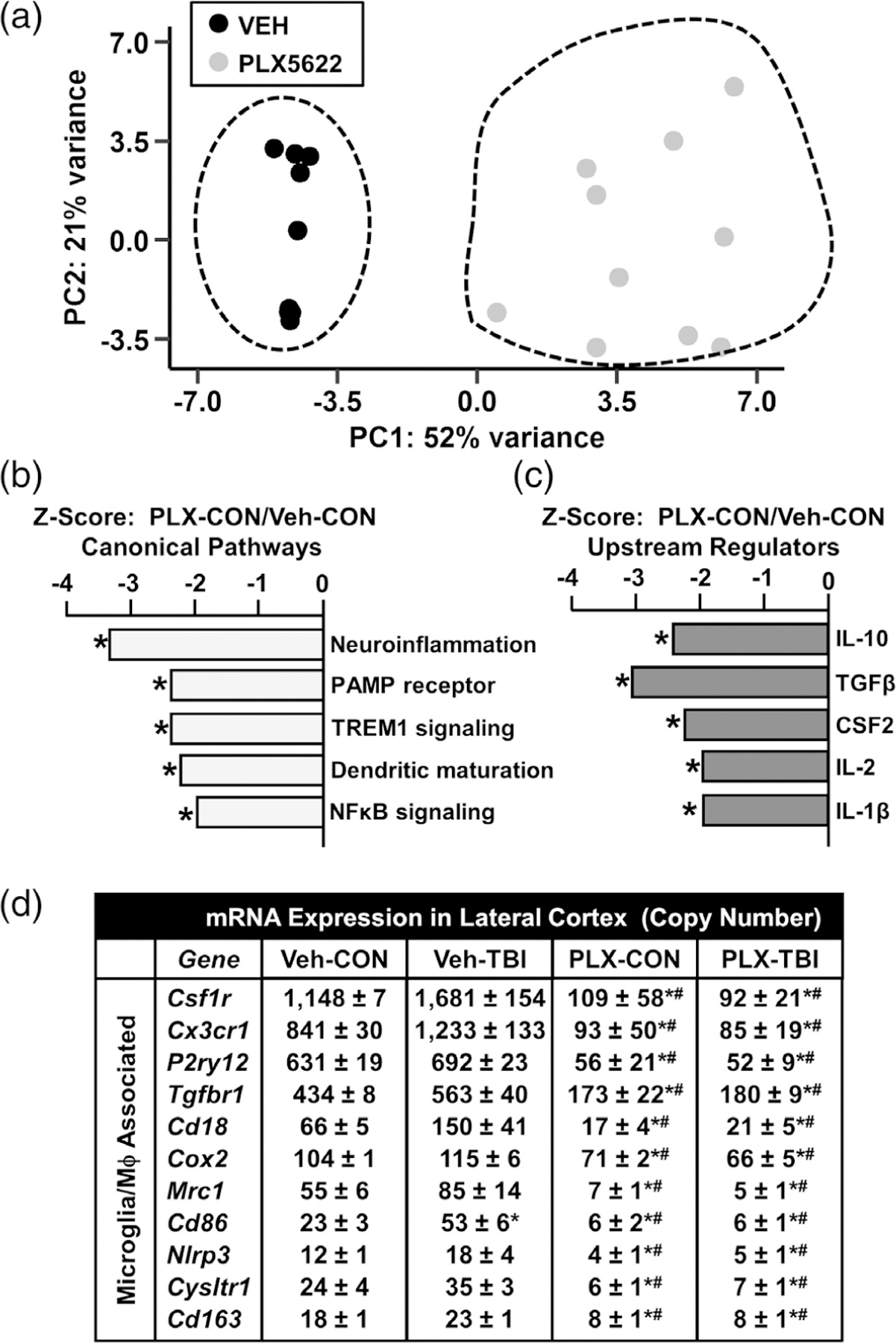 FIGURE 11