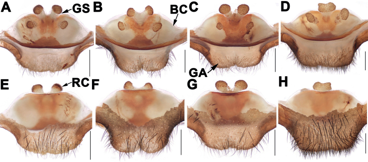 Figure 7.