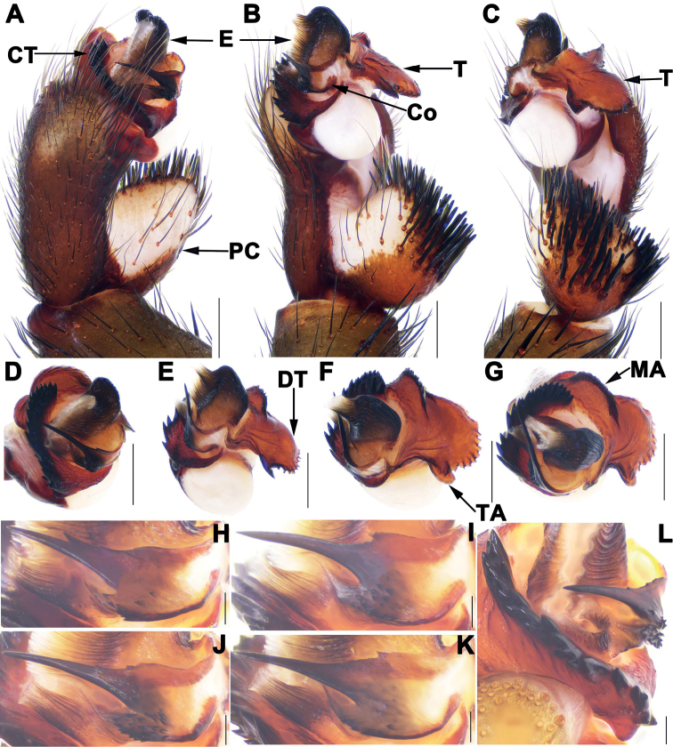 Figure 6.