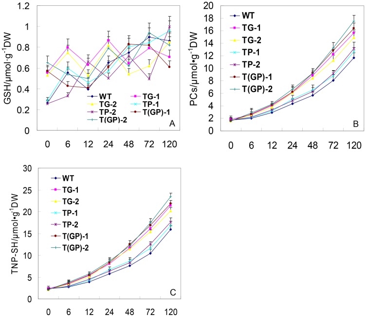 Figure 7