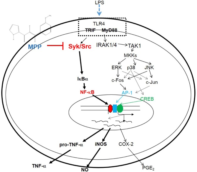 Fig. 6