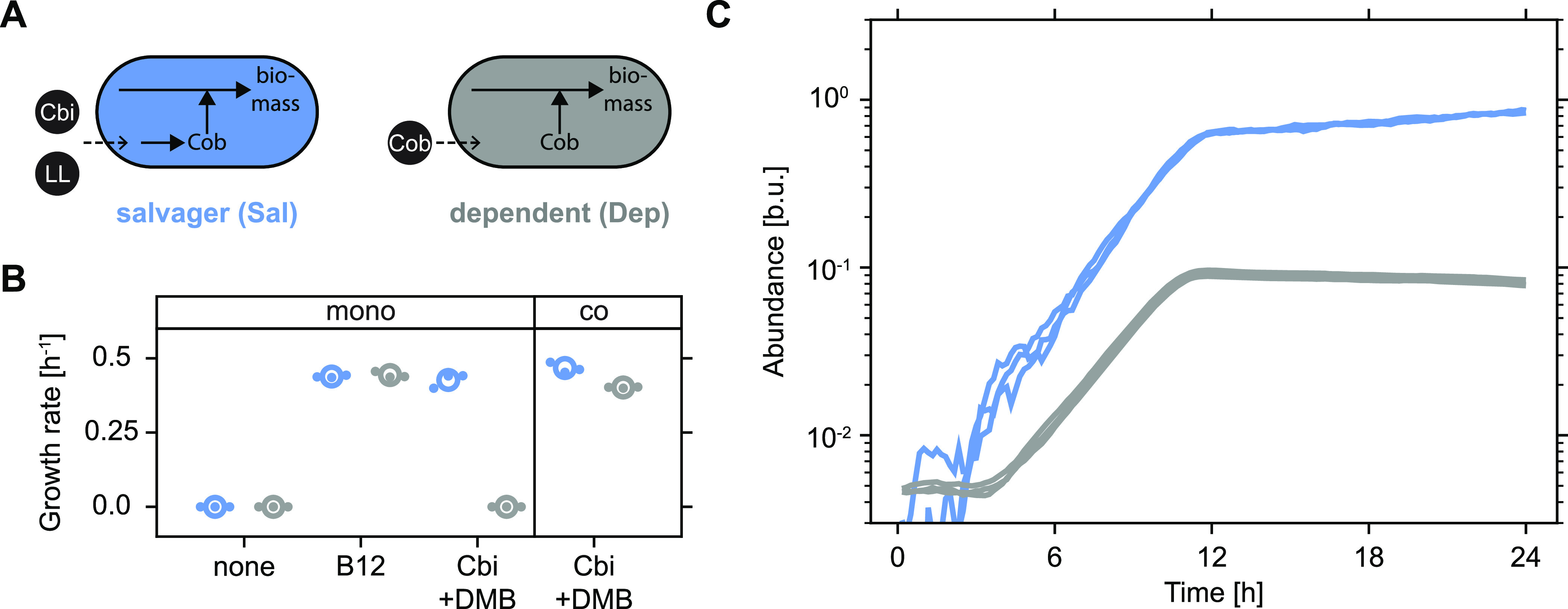 FIG 2