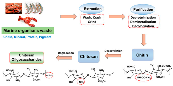 Scheme 2