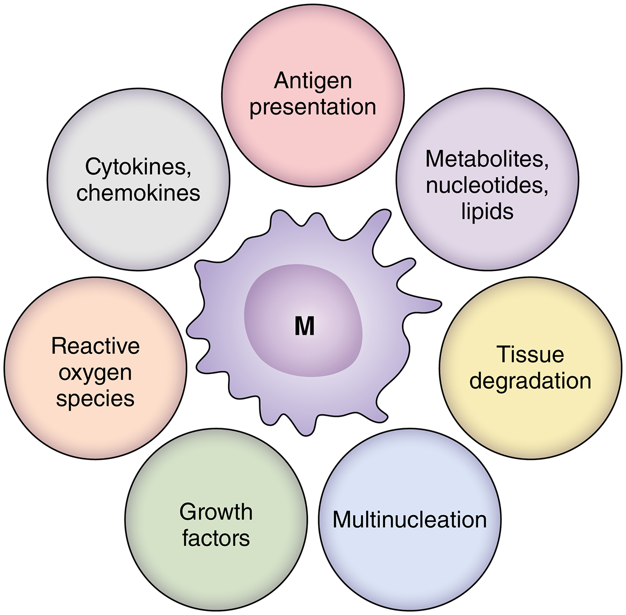 Figure 6.