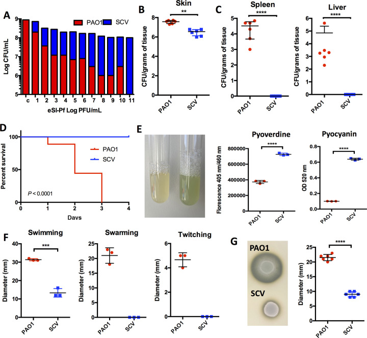 FIG 2