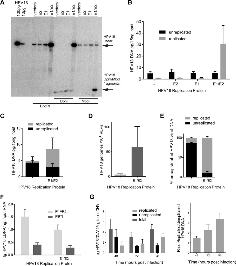 FIG 3