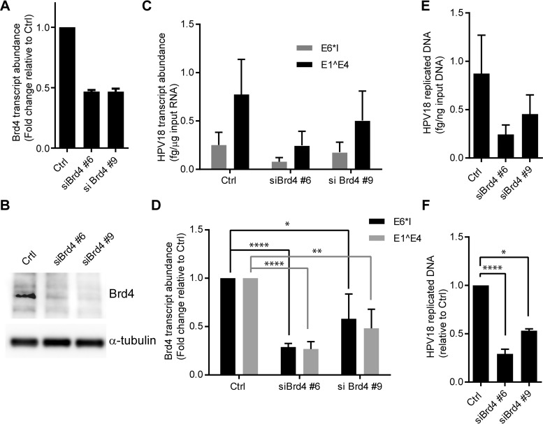 FIG 4 