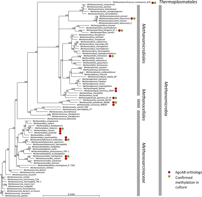 FIG 6 