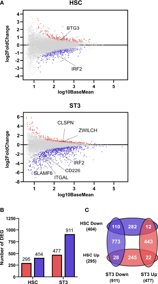 Figure 2