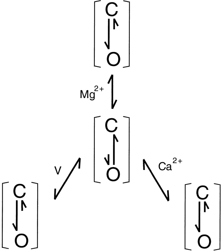 Scheme S3